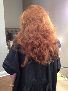 Hair before Brazilian Blowout treatment